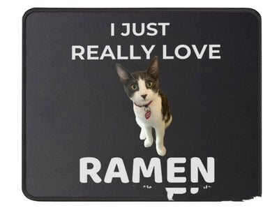 Tapete de Tela DIY para Gatos - Image 17