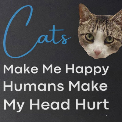 Tapete de Tela DIY para Gatos - Image 18