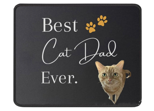 Tapete de Tela DIY para Gatos - Image 19
