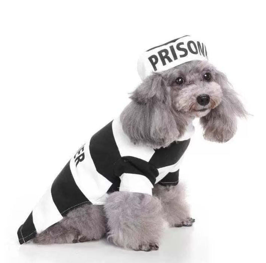 Suéter Navideño Tejido para Mascotas - Diseño Clásico Abuelo - Image 12