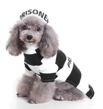Suéter Navideño Tejido para Mascotas - Diseño Clásico Abuelo - Image 15