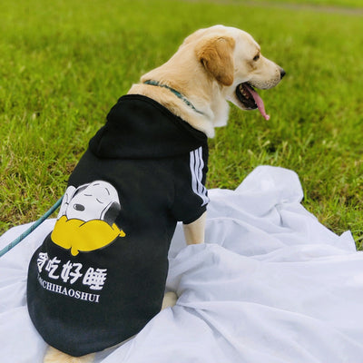 Ropa Térmica para Perros Labrador Talla Grande - Image 10