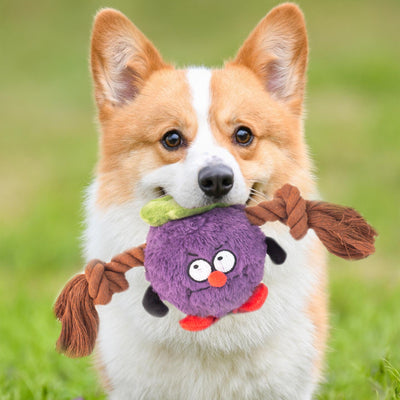 Juguete Interactivo de Cuerda para Perros - Resistente a Mordidas y Juego de Tracción - Image 10