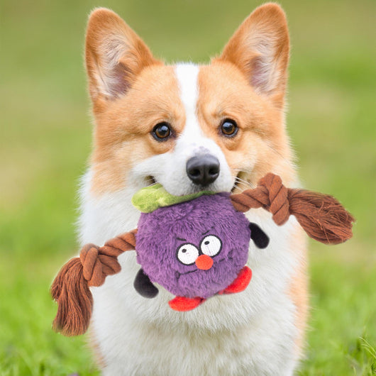 Juguete Interactivo de Cuerda para Perros - Resistente a Mordidas y Juego de Tracción - Image 10