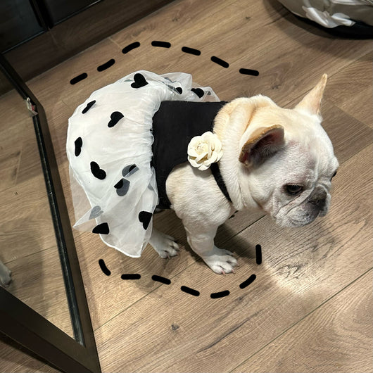 Falda Estampada Casual para Perro - Verano - Image 10