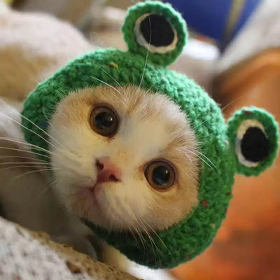 Gorro de Lana Tejido para Perros y Gatos - Accesorios Adorables para Mascotas - Image 29