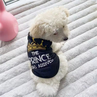 Chaleco Transpirable para Cachorros Primavera Verano - Image 15
