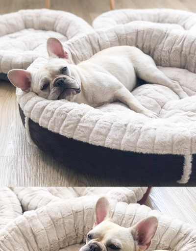 Cama Redonda Térmica para Perros y Gatos - Diseño Otoño Invierno - Image 7