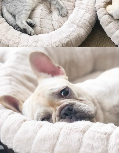 Cama Redonda Térmica para Perros y Gatos - Diseño Otoño Invierno - Image 11