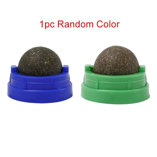 Two catnip licking balls, one in a blue plastic base and one in a green plastic base, on a white background.
