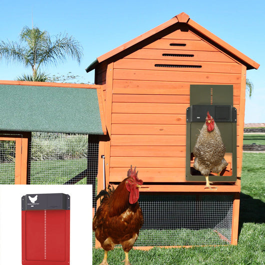 Puerta Automática para Gallinero Coop - Image 15