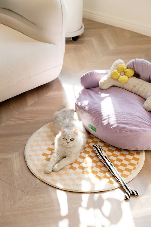 Cama Nido para Perros Pequeños Cuatro Estaciones - Removible y Lavable - Image 14