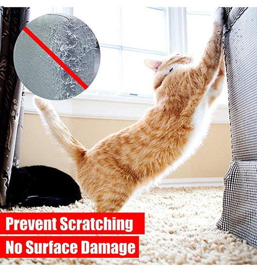 Protector Adhesivo Anti-rasguños para Sofás y Muebles - Defensa Felina - Image 12