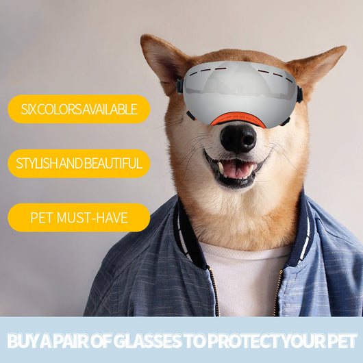 Gafas Protectoras UV Antiaire para Mascotas - Image 44