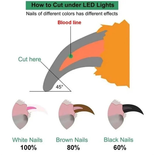 Cortaúñas para Mascotas con Luz LED - Tijeras Profesionales para Perros y Gatos - Image 31