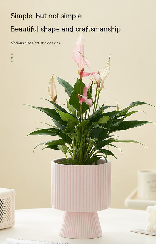 Maceta de Cerámica Nórdica con Diseño de Rayas Creativas - Image 20