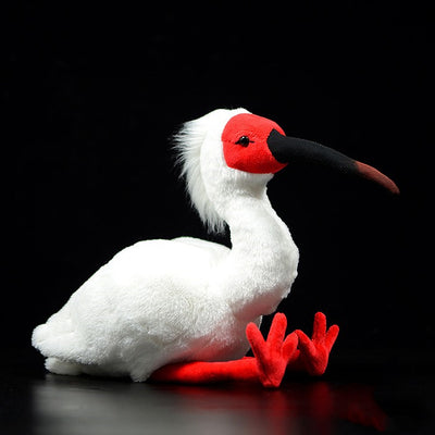 Peluche Realista de Ibis Crestado - Juguete de Simulación Adorable - Image 6