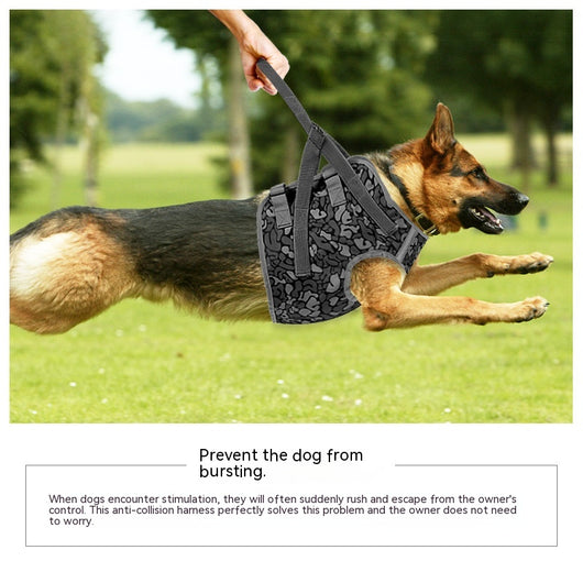 Arnés de Pecho Anti-Tracción para Perros Grandes - Cuerda de Control Talla Mediana - Image 6