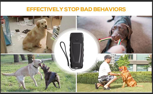 Black and orange handheld ultrasonic dog training device with a Type-C charging port and an orange button. - Image 10