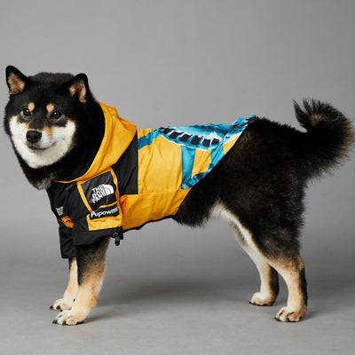 Impermeable para Perros Grandes - Chaqueta Protectora Resistente al Viento y Lluvia - Image 18