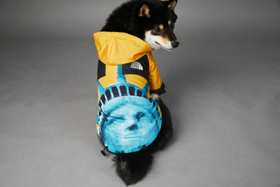 Impermeable para Perros Grandes - Chaqueta Protectora Resistente al Viento y Lluvia - Image 19