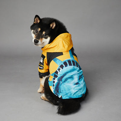 Impermeable para Perros Grandes - Chaqueta Protectora Resistente al Viento y Lluvia - Image 20