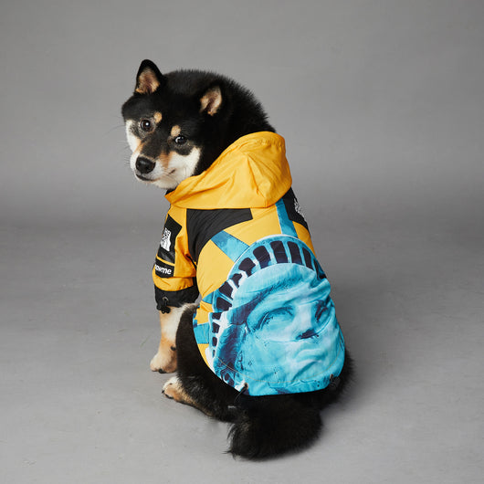 Impermeable para Perros Grandes - Chaqueta Protectora Resistente al Viento y Lluvia - Image 20