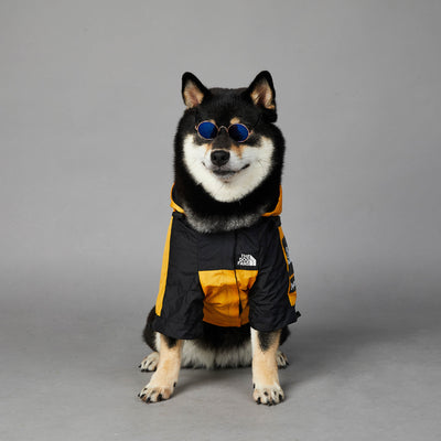 Impermeable para Perros Grandes - Chaqueta Protectora Resistente al Viento y Lluvia - Image 21