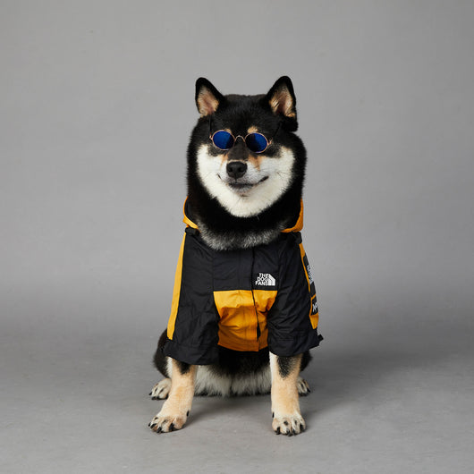 Impermeable para Perros Grandes - Chaqueta Protectora Resistente al Viento y Lluvia - Image 21