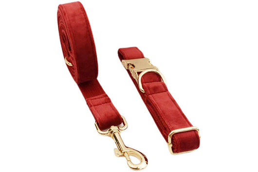 Collar de Tracción Resistente para Perros - Image 14