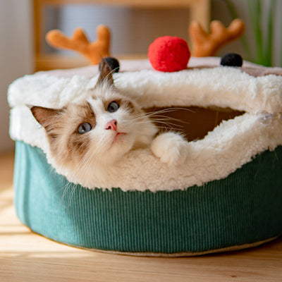 Casa Térmica para Gatos con Lana de Cordero - Cama Cerrada Desmontable e Impermeable - Image 7