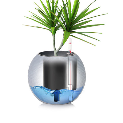 Maceta para Suculentas de Ratán con Drenaje Automático - Image 14
