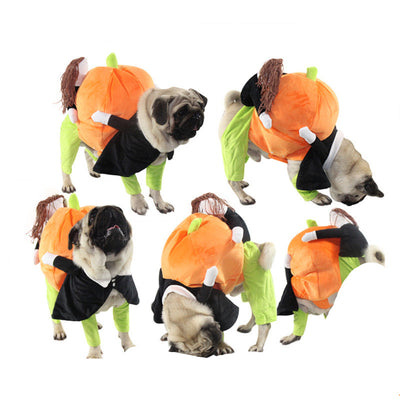 Ropa y Accesorios para Mascotas - Image 9