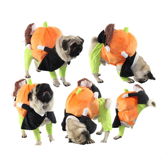 Ropa y Accesorios para Mascotas - Image 9