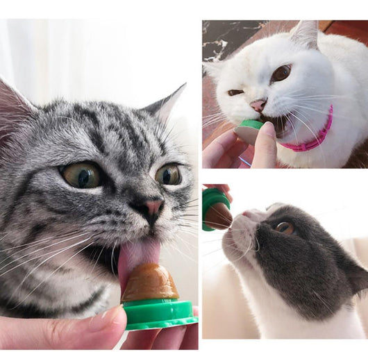Snack Adherible para Gatos - Golosina Nutritiva de Lamido Fijo - Image 11
