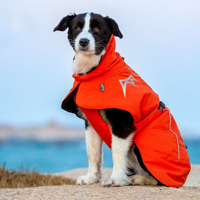 Abrigo Acolchado para Perros - Impermeable y Cálido para Otoño e Invierno - Image 9