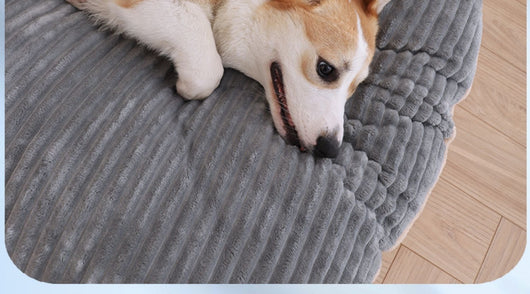 Colchoneta Ortopédica para Perros Cuatro Estaciones - Doble Cara Extraíble y Lavable - Image 33