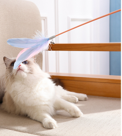 Juguete Interactivo para Gatos con Plumas - Vara Teaser - Image 11
