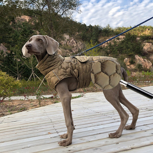 Abrigo Térmico para Perros - Protección Outdoor Reforzada - Image 11
