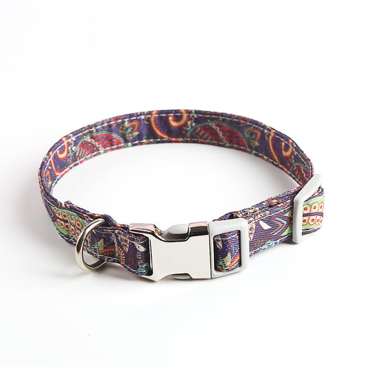 Collar Elegante y Cómodo para Perros - Diseño Simple y Moderno - Image 10