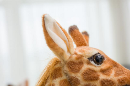 Peluche Venado Ciervo - Juguete Educativo Temática Zoo - Image 19