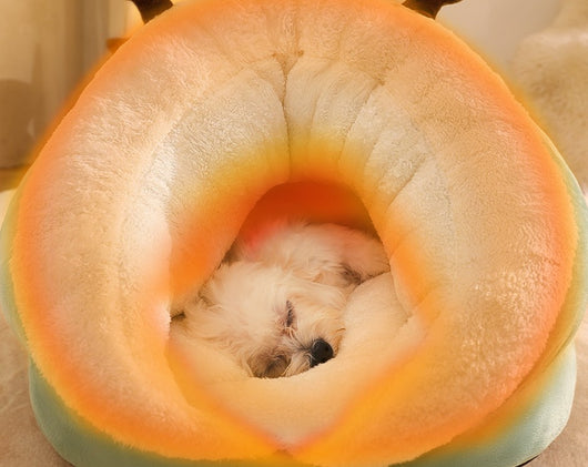 Cama Acogedora para Perros Pequeños con Relleno Térmico - Image 9