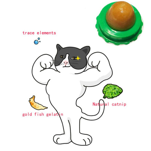 Two pet cat energy ball lick toys with catnip, one with a green base and orange pouch, the other with a blue base and black pouch. - Image 29