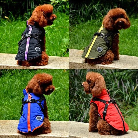 Chaqueta con Cierre para Perro - Image 10