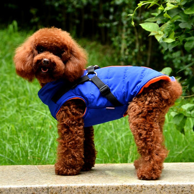 Chaqueta con Cierre para Perro - Image 12