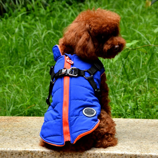 Chaqueta con Cierre para Perro - Image 17
