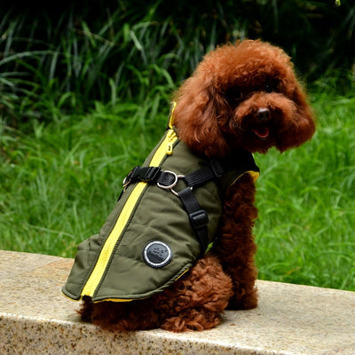 Chaqueta con Cierre para Perro - Image 19