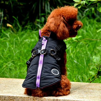 Chaqueta con Cierre para Perro - Image 20