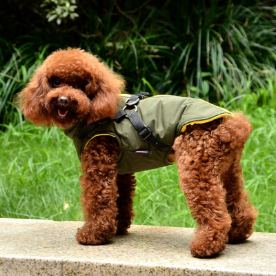 Chaqueta con Cierre para Perro - Image 21