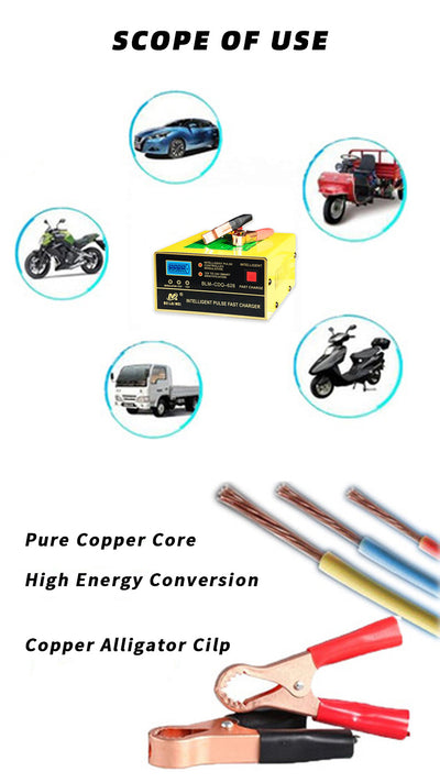 Cargador de Batería Inteligente 12V-24V - Image 9